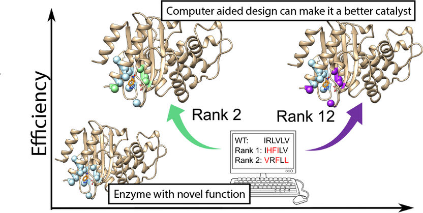 https://pubs.rsc.org/en/content/articlelanding/2020/sc/d0sc01935f