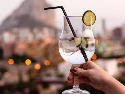 Record gin sales in 2019