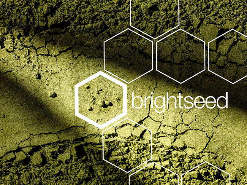 Danone and Brightseed will unlock health benefits from plants at an unprecedented speed - Brightseed’s artificial intelligence is ushering in a new era of discovery and precision nutrition