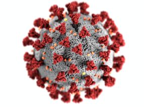 Un proyecto del CSIC busca desentrañar las proteínas más desconocidas del coronavirus