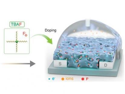 Eine Salzlösung für bessere Bioelektronik