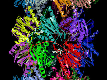 Entwicklung neuer Proteasom-Inhibitoren zur Behandlung von von Krebs-, Entzündungs- und Autoimmunerkrankungen