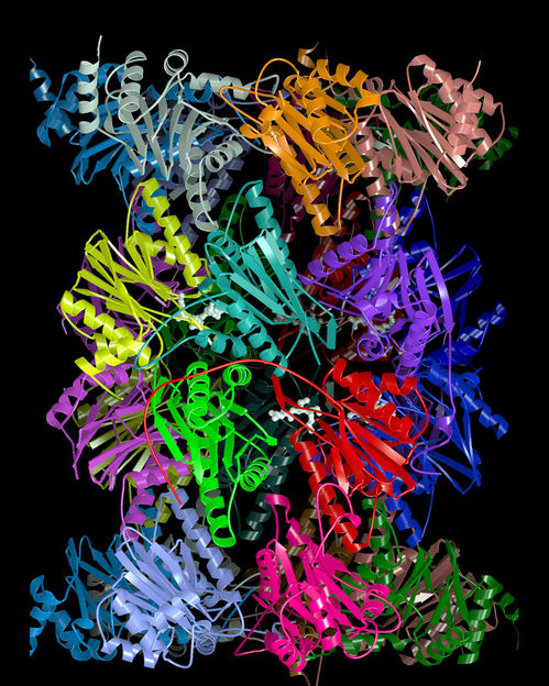 Robert Huber, © MPI für Biochemie