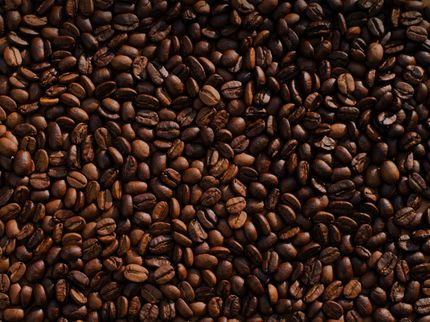 Bitter substances in coffee