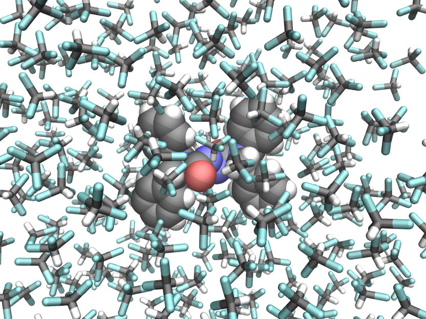 Copyright: Reprinted with permission from I. Conti et al. (2020), The Journal of Physical Chemistry Letters, ACS