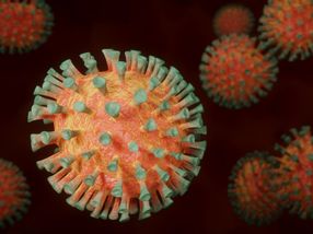 Investigadores del CSIC utilizarán un tipo de ‘parásitos del coronavirus’ para combatirlo