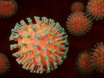 CSIC researchers will use a type of 'coronavirus parasite' to combat it