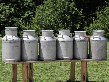 Kuhmilch-Protein Beta-Laktoglobulin verhindert Allergien