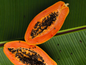 La FDA redobla la llamada a la acción de la industria papayera para proteger a los consumidores