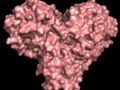 X-rays size up protein structure at the 'heart' of COVID-19 virus