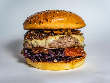 Fleischersatz auf Pflanzenbasis mit bester Umweltbilanz