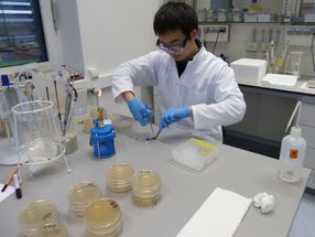 Wirkstoffe aus Kieler Meeresalgen als Mittel gegen Infektionen und Hautkrebs entdeckt
