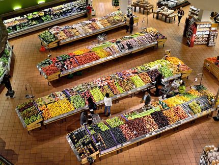 Supermarkt-Check 2020: Letzter Platz bei Menschenrechten für Edeka