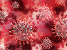 Unterschiede der Immunreaktion gegen SARS-CoV-2 bei milden und schweren COVID-19-Krankheit