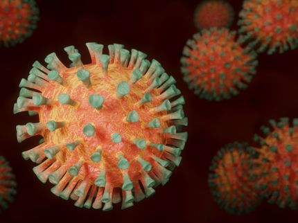 Coronavirus auch in Fleischfabriken in Österreich