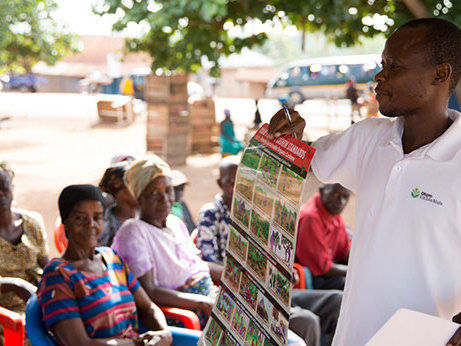 Sustainable cashew - Working with farmers the co-operative way