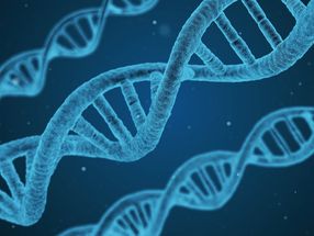 BU-Forscher entwerfen künstliche Gene, um zelluläre Reaktionen auf Medikamente zu erkennen