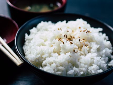 Ingredion Completes Rice Manufacturing Expansion