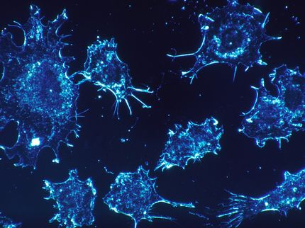 Breast cancer cells turn killer immune cells into allies