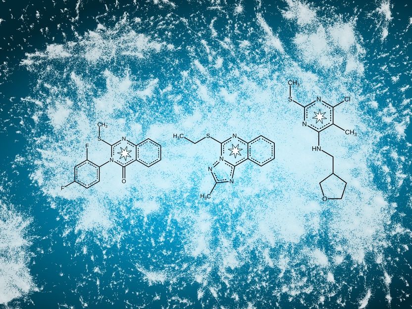 Looking for a needle in a haystack - TU Dresden's BIOTEC and its PharmAI spin-off analyse millions of active substances that could cure Covid-19