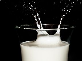 Wahl der ersten Verbraucher-Milch ist bio, regional und fair für Landwirte und Kühe