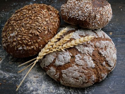 Wie gesund ist unser Brot?