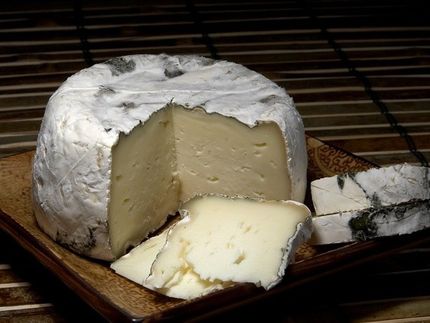 Weichkäse? Ja bitte - aber sicher!