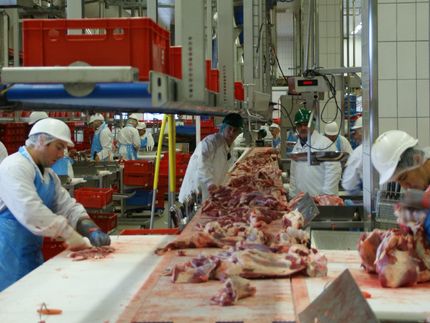 Gewerkschaft kritisiert Umgang mit Schlachthof-Mitarbeitern in Lohne