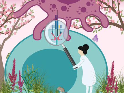 Cómo las células inmunes activan el modo asesino