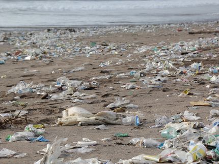 A New Species of Darkling Beetle Larvae That Degrade Plastic