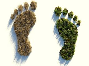 BASF calculates CO2 footprint of all sales products