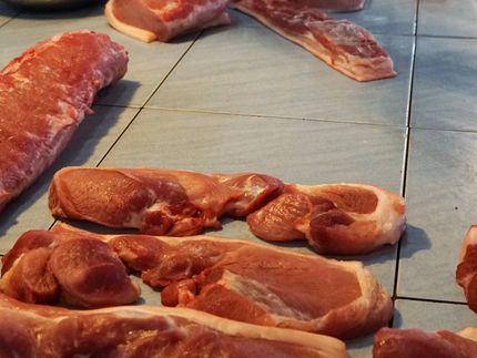 Neues Gesetz für Fleischbranche verhindert Spezialisierung