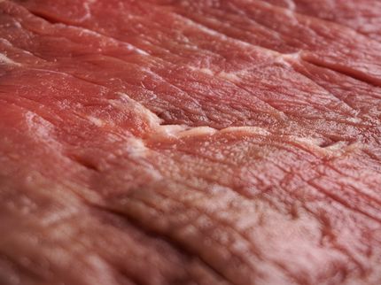 Tönnies Lebensmittel