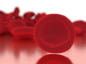 Epigenetics key to daily production of 10 billion blood cells without mistakes
