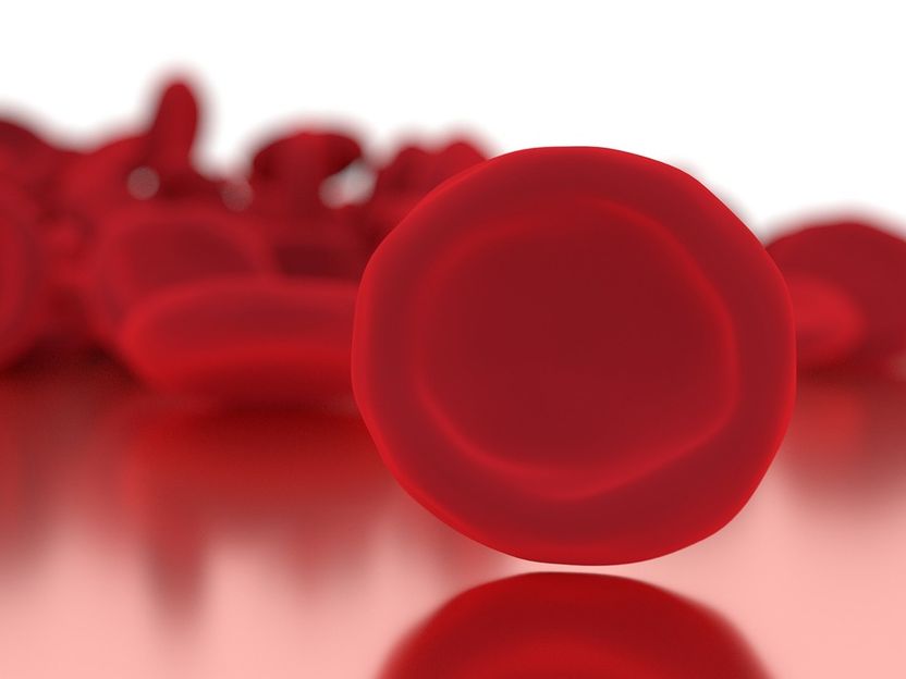 Epigenetics key to daily production of 10 billion blood cells without mistakes - Study reveals a gene key for blood cell specialisation