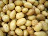 Glykoalkaloide in Kartoffeln: Bewertung der Risiken für die öffentliche Gesundheit