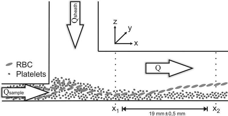 © American Institute of Physics (AIP)