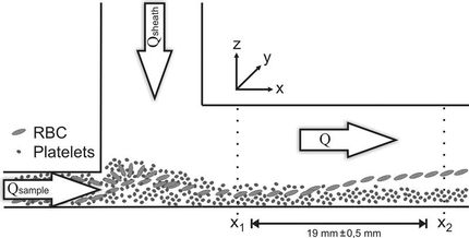 Trennung von Blutzellen im Mikrofluss_1