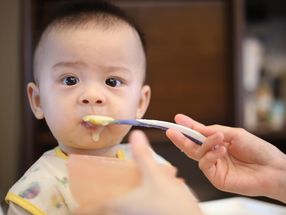 Babybreie unter der Lupe