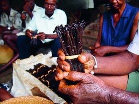 Symrise and Kellogg Company achieve ambitious target of 100% sustainably procured vanilla by 2020