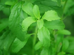 PureCircle and U.S. Customs and Border Protection Resolve 2014 Stevia Sourcing