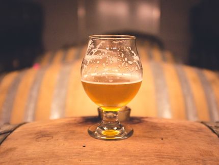 ¿Suplementos alimenticios hechos de residuos de cervecería?