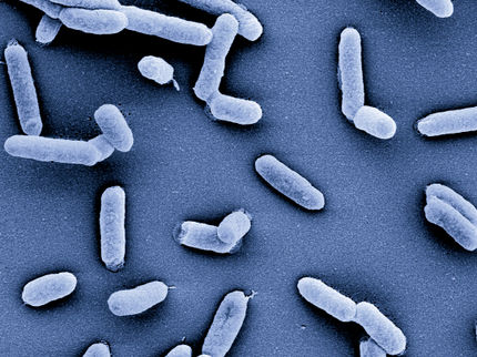Neuer Ansatzpunkt im Kampf gegen Antibiotika-Resistenzen