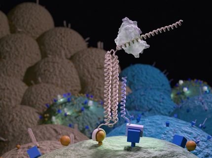 Neue 'molekulare Computer' finden die richtigen Zellen