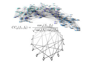 Bernstein Center Freiburg; Wurm-Netzwerk nach Varshney et al., PLoS Comp Biol. 2011.