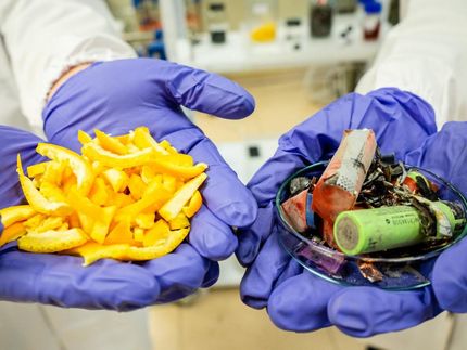 Wissenschaftler verwenden Orangenschalen, um aus alten Batterien neue zu machen