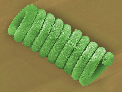 Treibstoff und raffinerte Materialkreisläufe dank Biotemplating