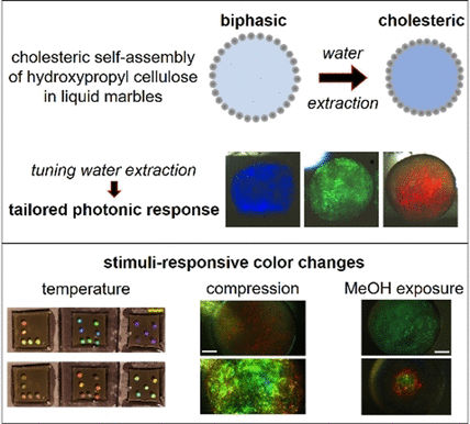 Strukturfarben aus Cellulose-Polymeren - Selbstorganisation von responsiven photonischen Biomaterialien in „flüssigen Murmeln“