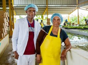Fairtrade lanza una consulta sobre salarios dignos para los trabajadores bananeros