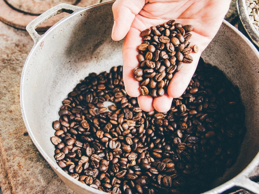 Konventioneller Kaffee gesünder als biologischer - Studie zu brasilianischem Kaffeeanbau